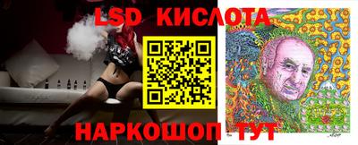Альфа ПВП Дубна