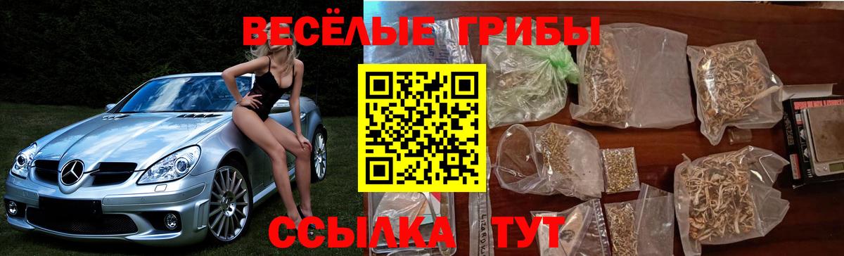 Михайловск  Галлюциногенные грибы ЛСД  Вход с VPN 
